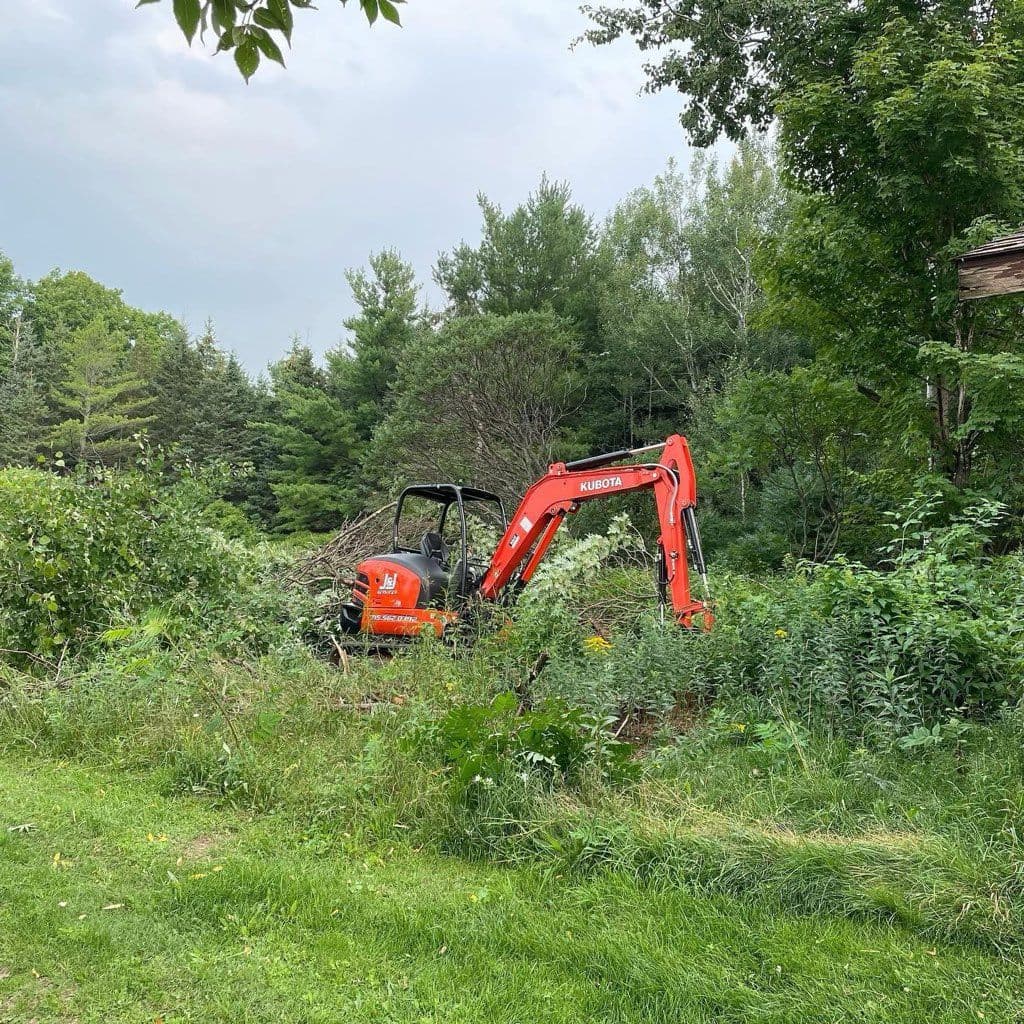 Clearing Dense Brush for Open Space