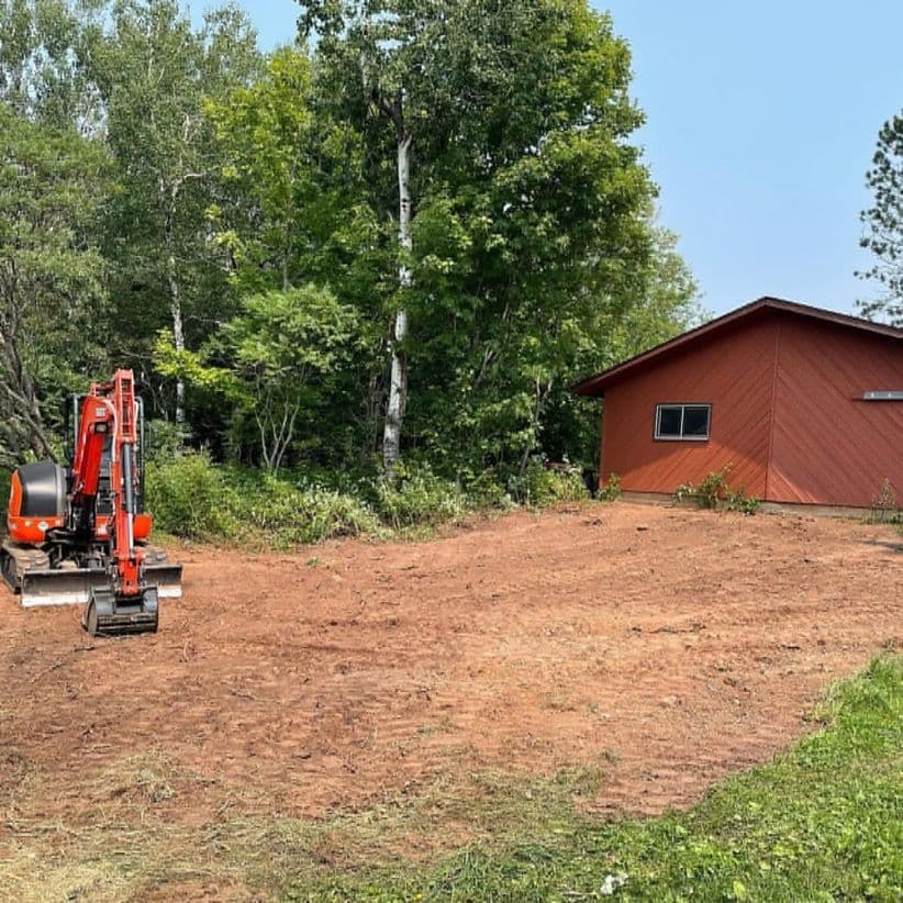 Clearing Dense Brush for Open Space