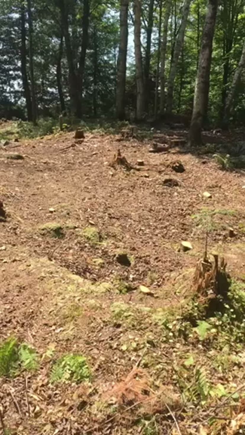 Cutting-Edge Equipment and Technology's image